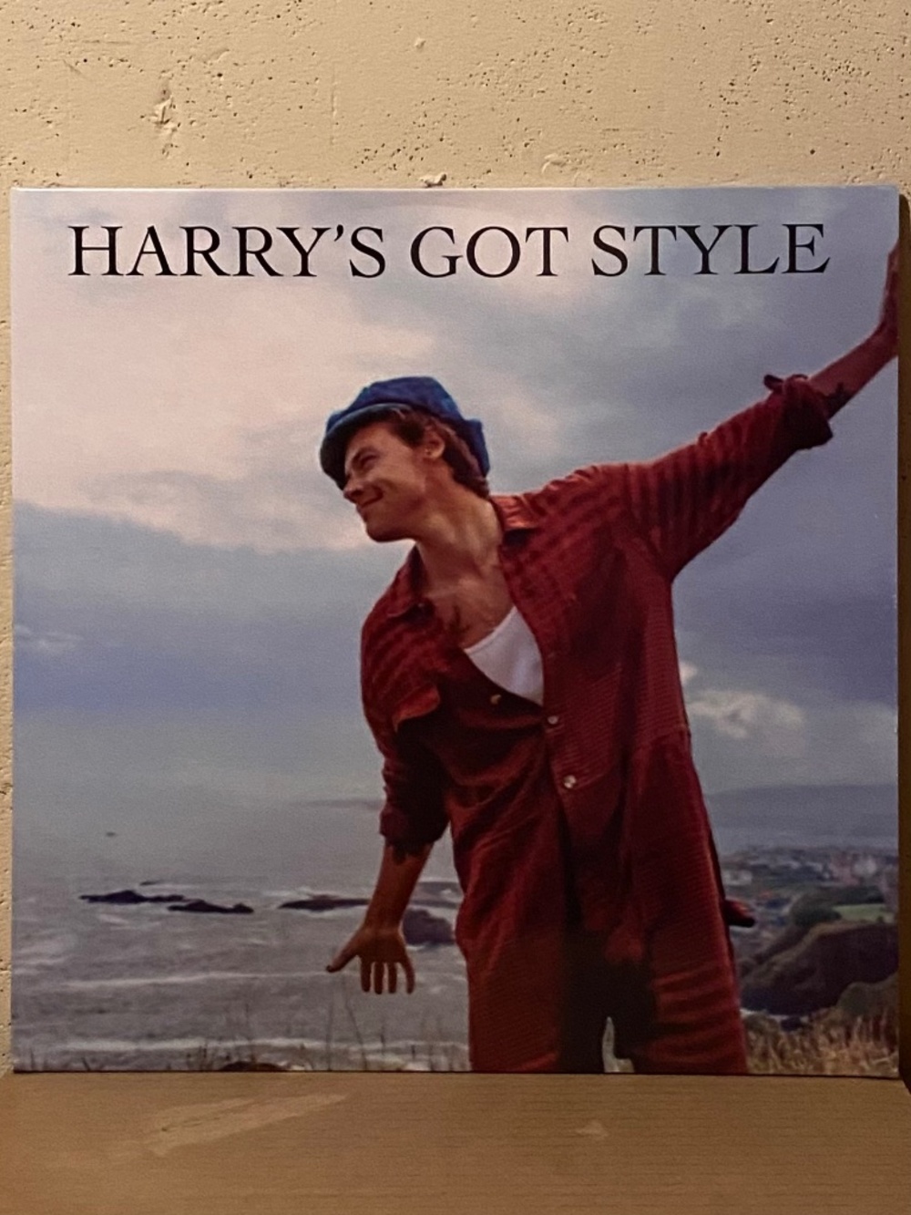 Harry Styles - Harry's Got Style LP Vinyl